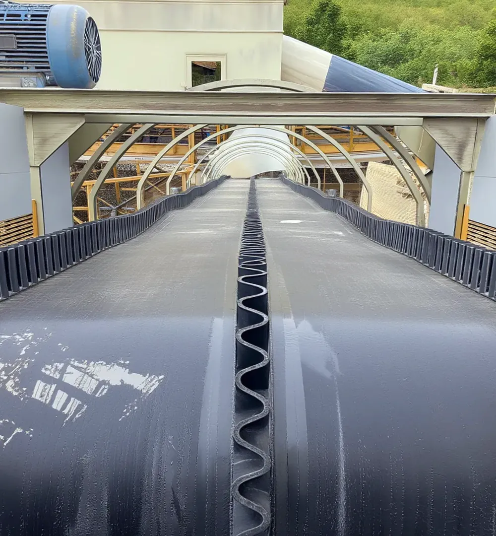 Nastri Trasportatori Industriali